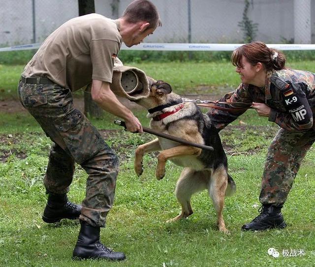 k9都要做什么，k9都要做什么字母圈？