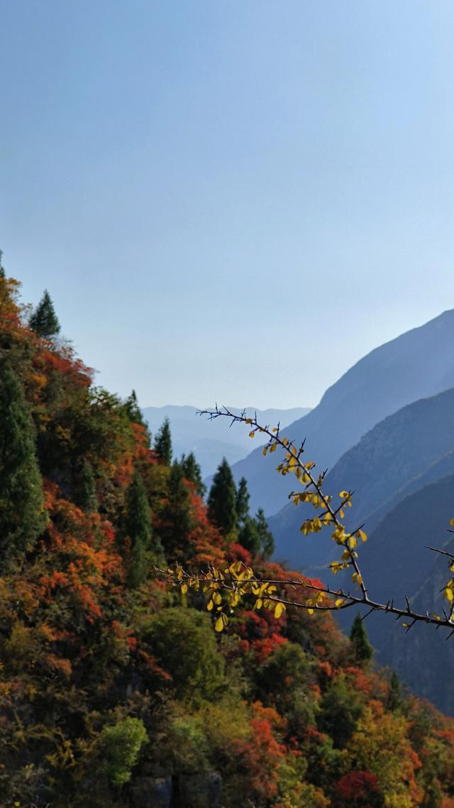 冬天久違的太陽(yáng)朋友圈說(shuō)說(shuō)圖片，冬天久違的太陽(yáng)朋友圈說(shuō)說(shuō)搞笑？