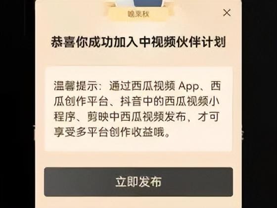 中視頻計劃怎么賺錢怎么操作，中視頻計劃能賺錢嗎？