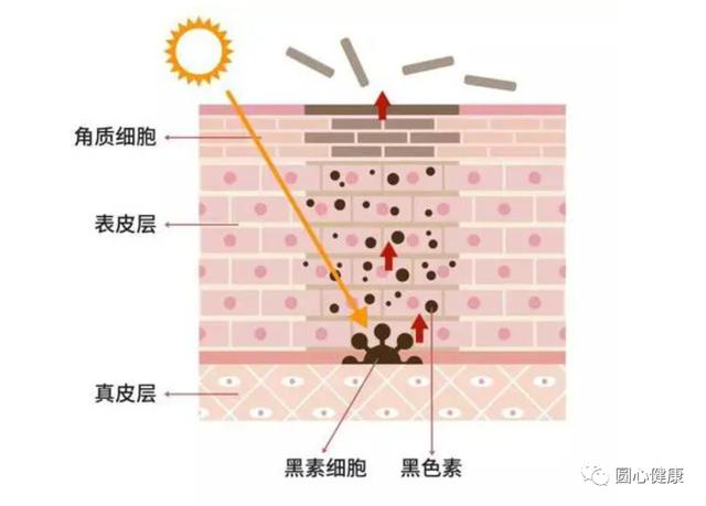 全身美白的醫(yī)美項(xiàng)目?jī)r(jià)格，醫(yī)美全身美白多少錢(qián)？