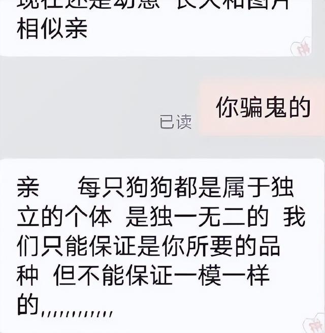 淘寶上200塊的狗狗是真的嗎，淘寶上200塊的狗狗是真的嗎能買(mǎi)嗎？