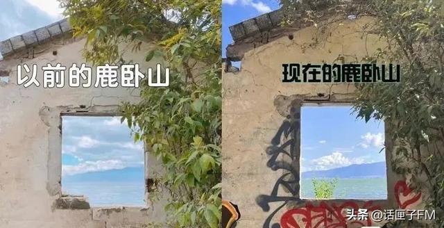 小紅書申請解封理由怎么寫，小紅書解封申訴內容怎么寫？