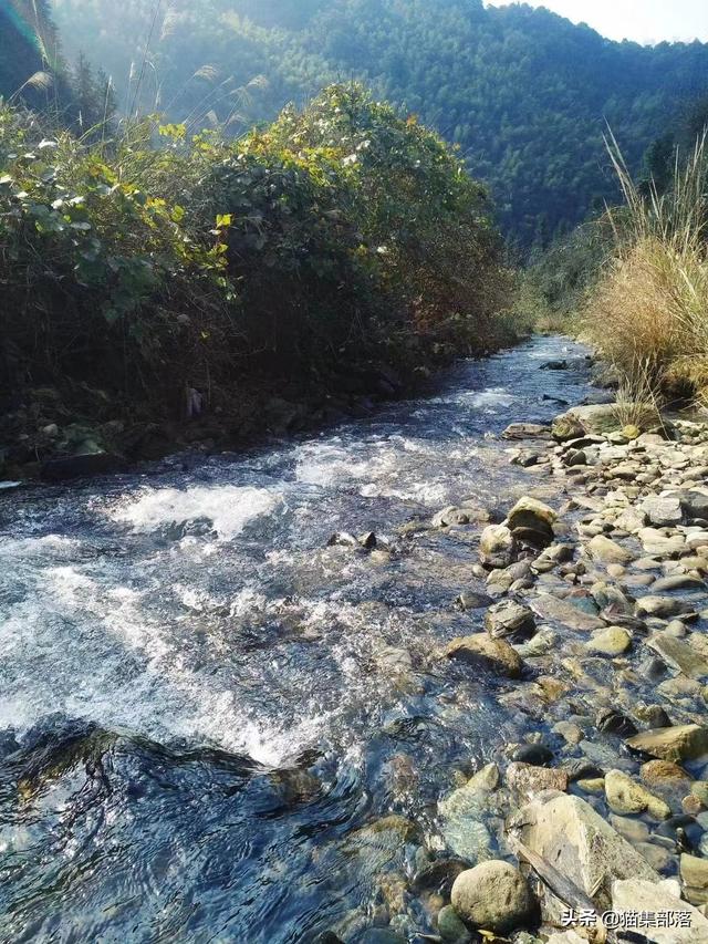 釣魚(yú)發(fā)朋友圈寫(xiě)什么搞笑話，適合朋友圈釣魚(yú)的搞笑說(shuō)說(shuō)？