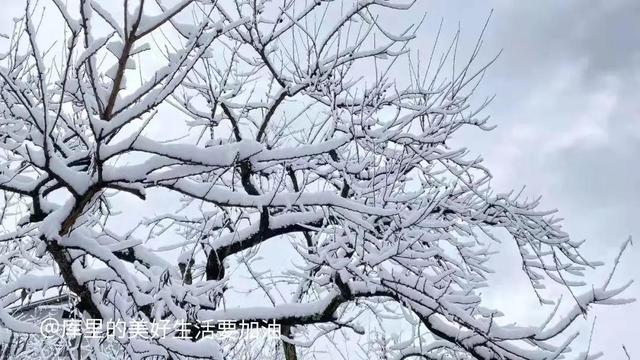 一些不起眼但是很暴利的項(xiàng)目叫什么，一些不起眼但是很暴利的項(xiàng)目叫什么名字