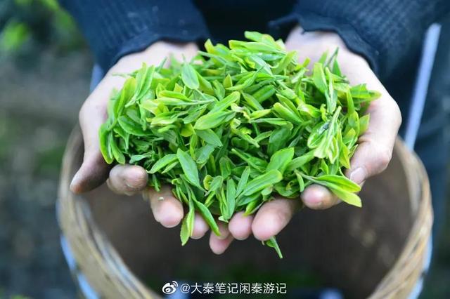 項目介紹的內(nèi)容模板怎么寫，項目介紹的內(nèi)容模板怎么寫范文？