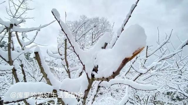 一些不起眼但是很暴利的項(xiàng)目叫什么，一些不起眼但是很暴利的項(xiàng)目叫什么名字