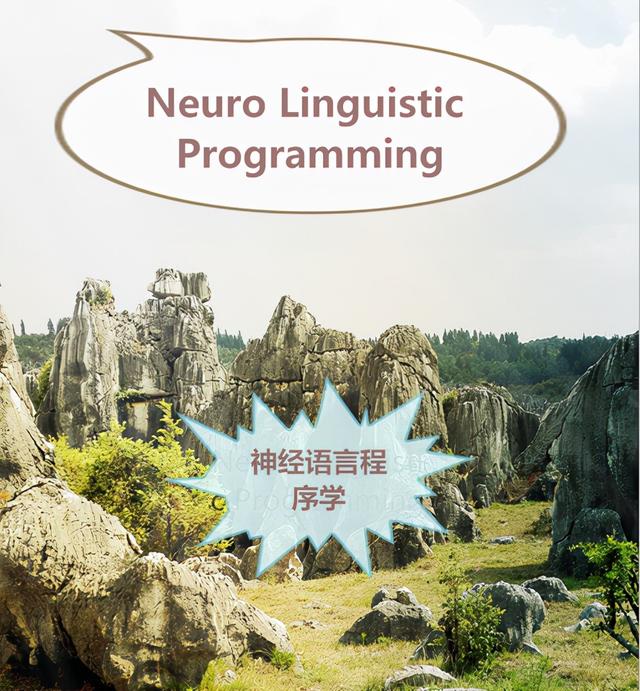 神經(jīng)語言程序?qū)Wpdf（人類神經(jīng)語言程序?qū)W）