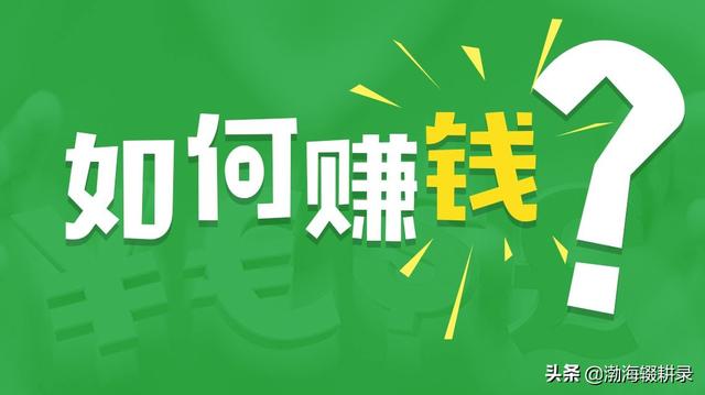 網(wǎng)上怎么掙錢最安全可靠（大學(xué)在網(wǎng)上怎么掙錢）