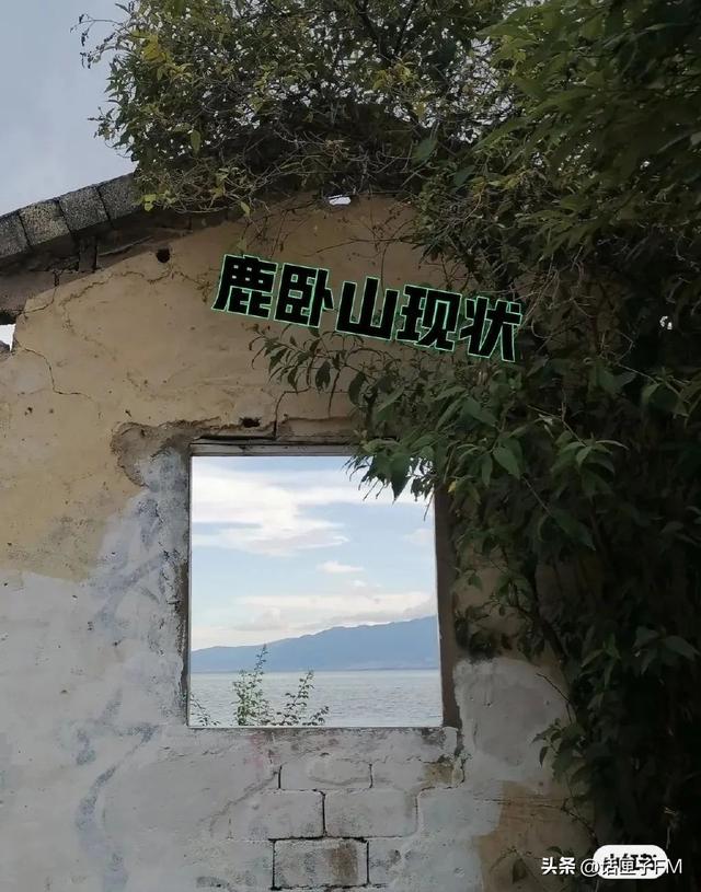 小紅書申請解封理由怎么寫，小紅書解封申訴內容怎么寫？