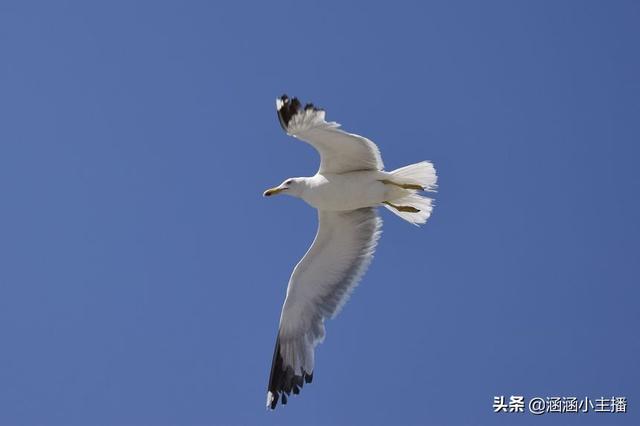 作文題記格式怎么寫圖片（題記格式咋寫）