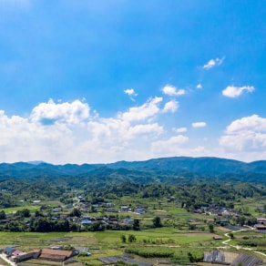 兒子幼兒園畢業(yè)照片發(fā)朋友圈說說，兒子幼兒園畢業(yè)照片發(fā)朋友圈說說搞笑？