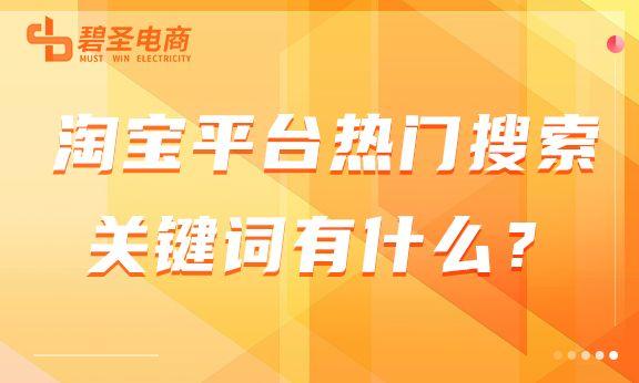 淘寶搜什么會有你懂的，淘寶搜索有啥好買的？